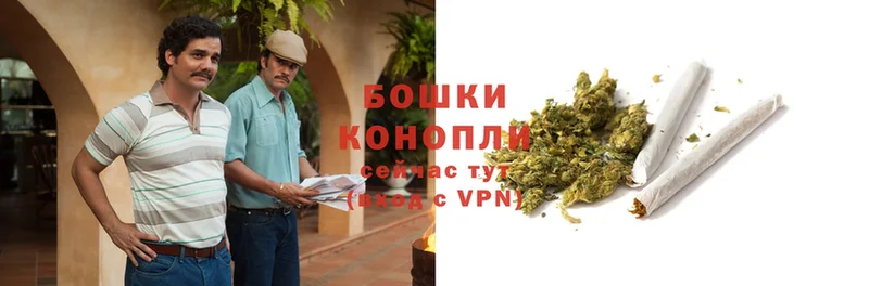 где купить   Беслан  OMG сайт  Шишки марихуана THC 21% 